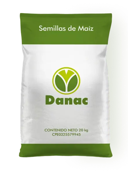 Semillas de Maíz