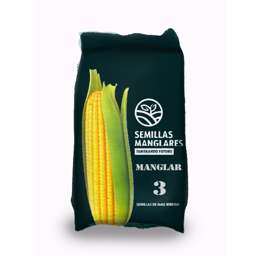 Semillas Manglares